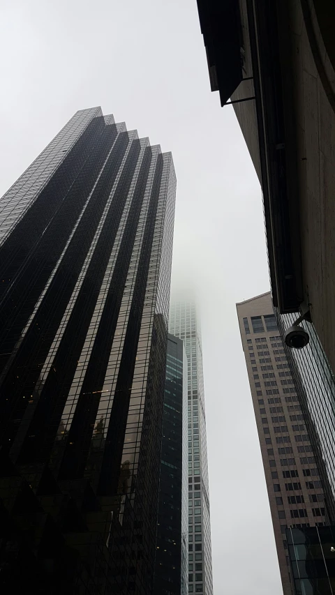 tall buildings stand in the distance, looking up