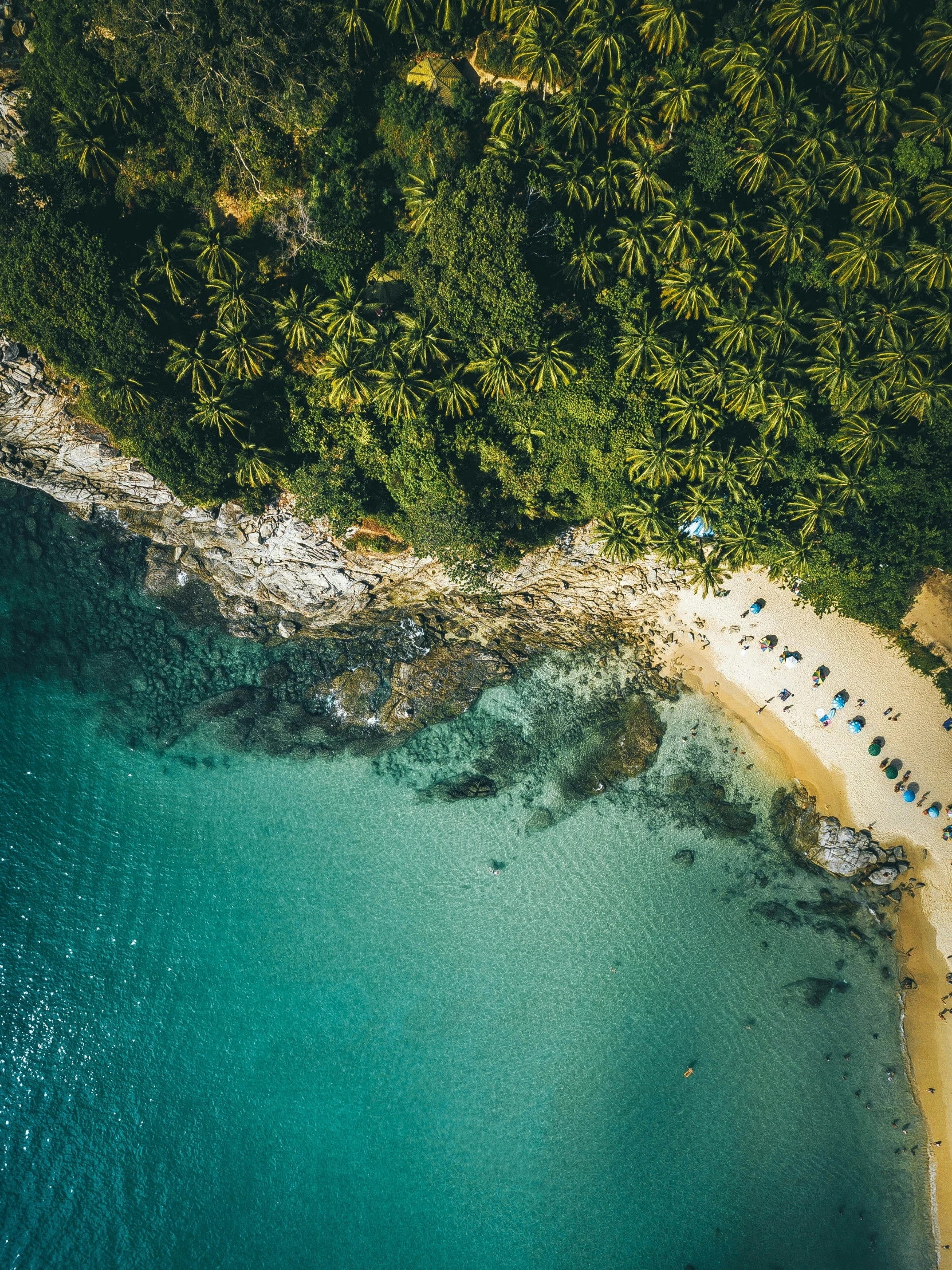 an aerial view of a beach and some trees