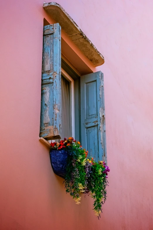 two flowers are in a window box above a window