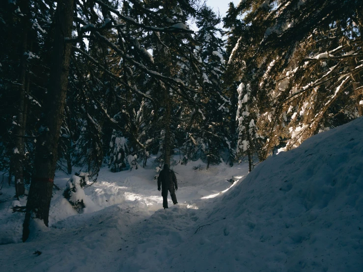 a person is walking through the snow and trees