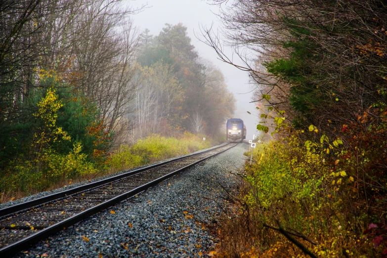 the train is traveling down the tracks through the trees