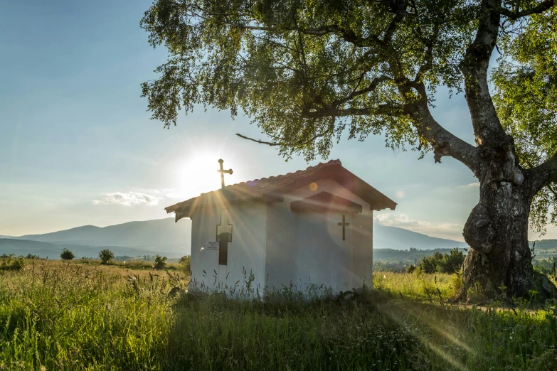 a small building sitting under a tree in the middle of a field