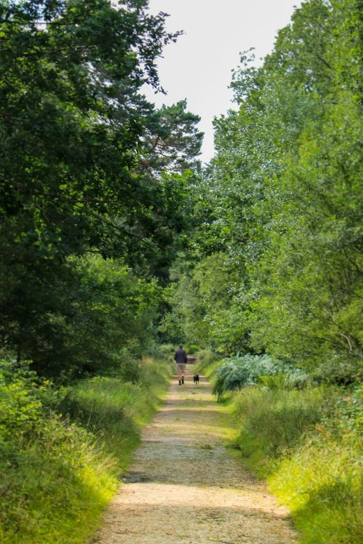 the person is riding their bicycle down the path