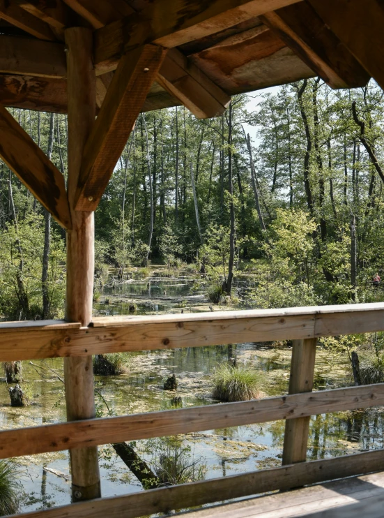 the covered deck overlooking a swamp near a forest