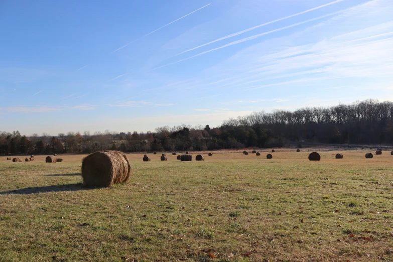 an open field with a hay bale in the foreground