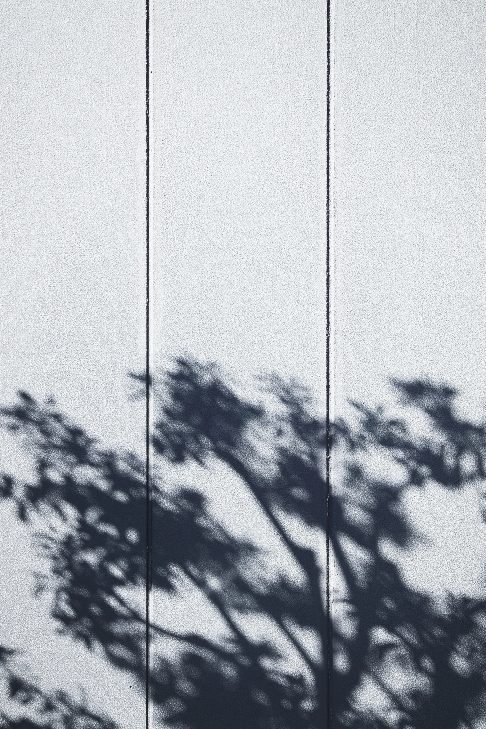 tree shadows on a cement surface and a metal bar