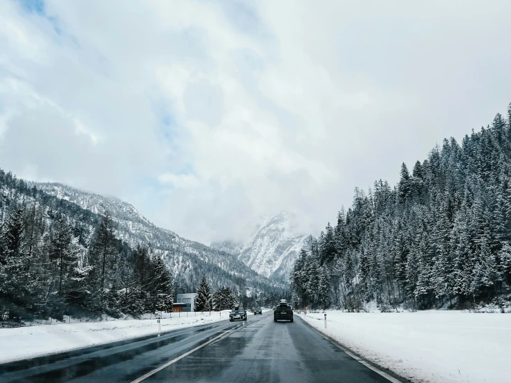 a picture of the road in front of some trees