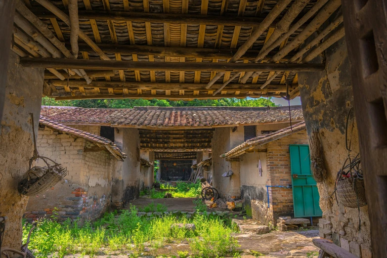 an old abandoned building with lots of vegetation growing inside of it