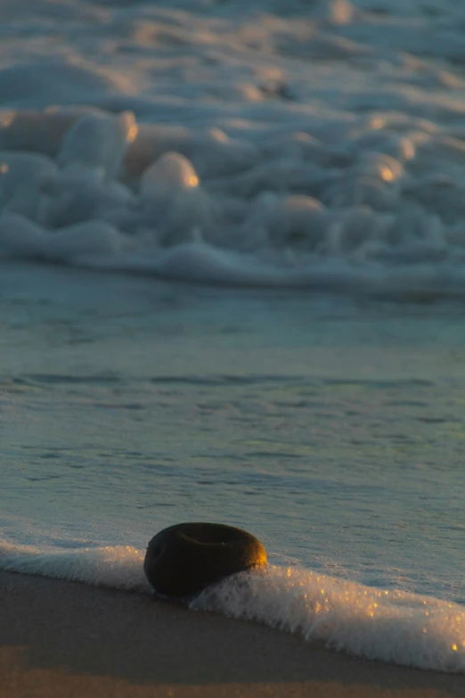 a stone sitting in the surf on the shore of a beach