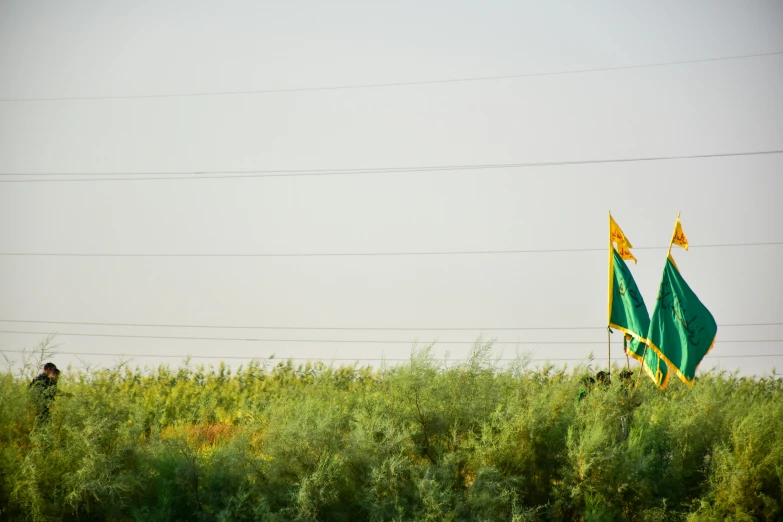 a man standing in the grass next to a flag