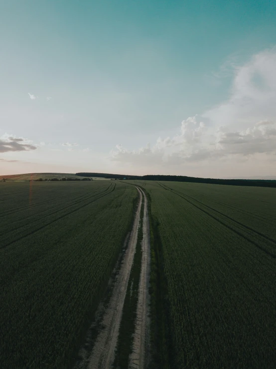 a lone long road runs through an expansive field