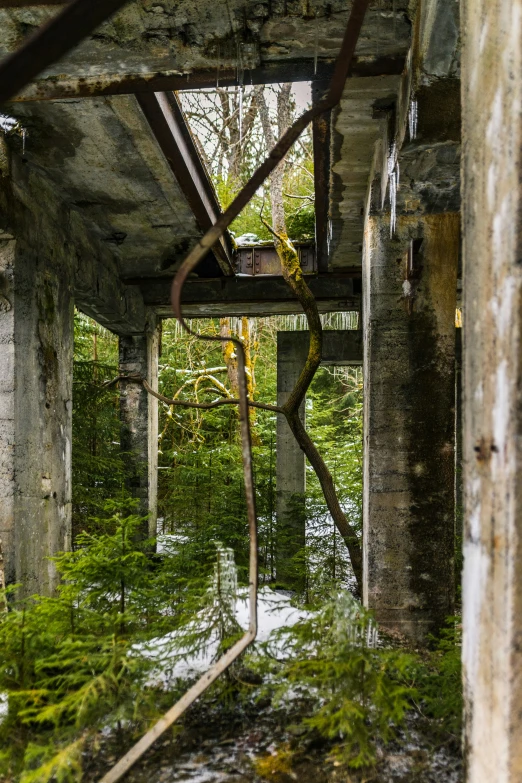 a rusty structure is seen in an overgrown area