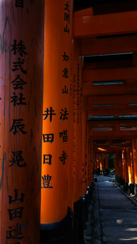 a path lined with large orange pillars with writing on them