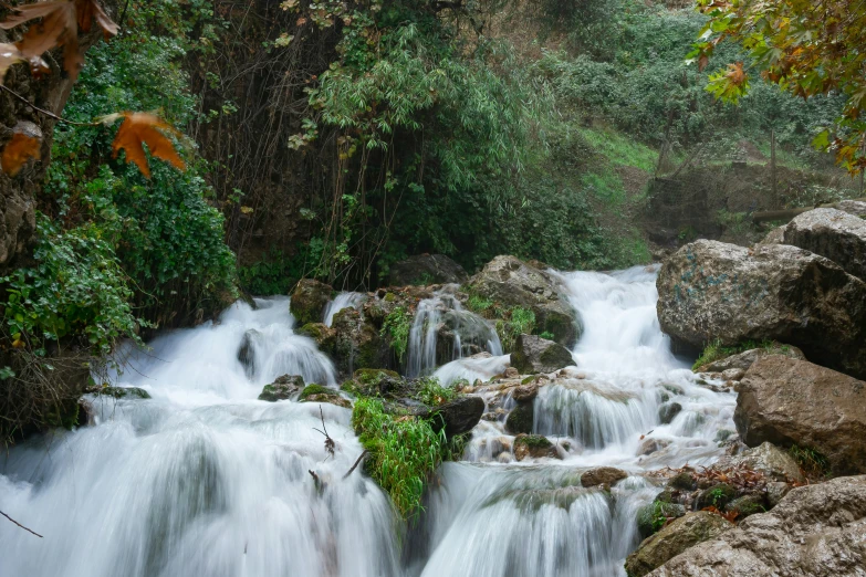 waterfall in a forest with water running down it