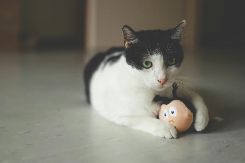 a cat sitting next to a toy rat on the ground