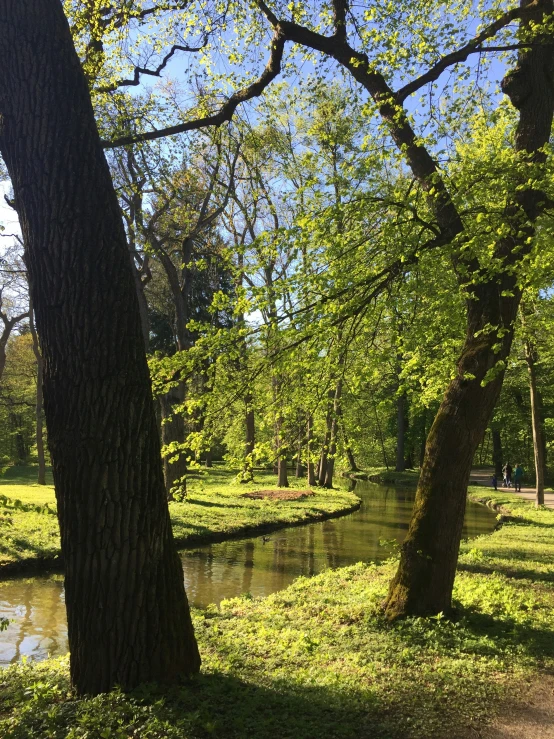 the path passes by a quiet river in a beautiful park