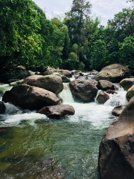 water flowing over rocks on a river surrounded by trees