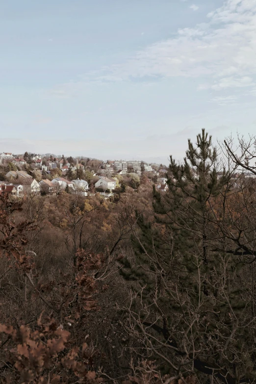 view of small town from high above trees and buildings