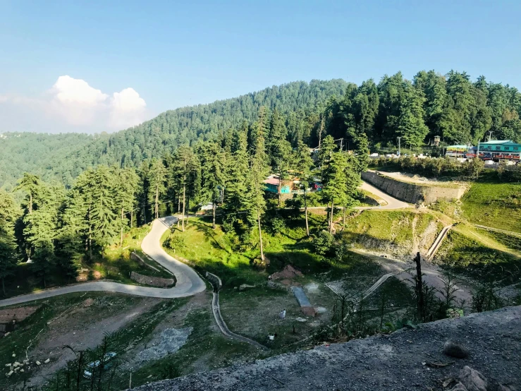 two road curves on a hilly hillside surrounded by trees