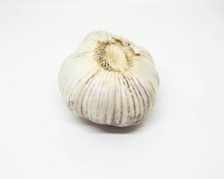 a white garlic plant on a white surface