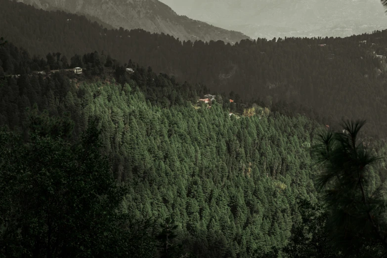 an over cast mountain view of the sky and trees