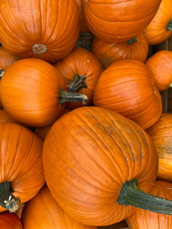 a pile of pumpkins are piled up together