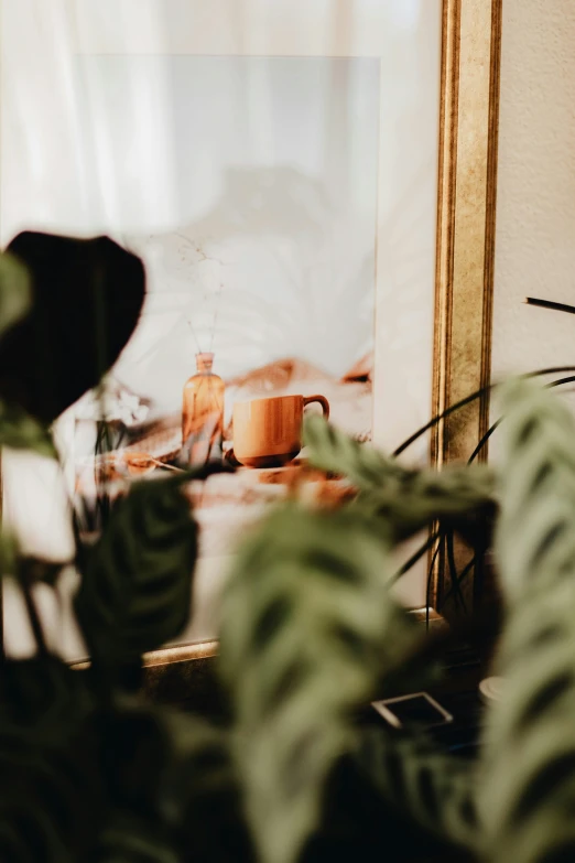 a potted plant and some bottles sitting on top of a table