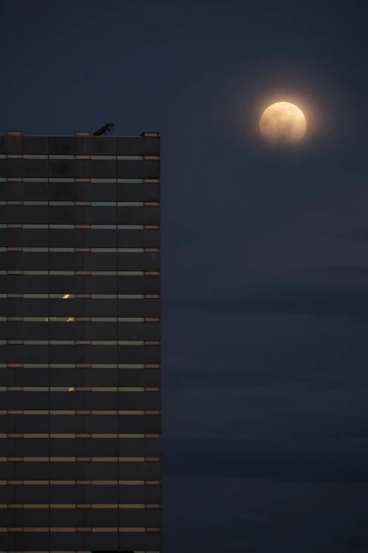 a plane flies past a large skyscr tower