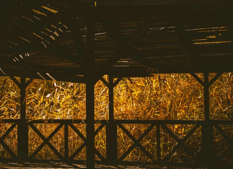 an outdoor wooden shelter with a cow standing on the side