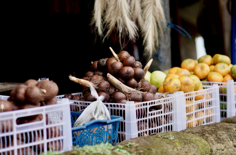 fruit sits in baskets sitting next to each other