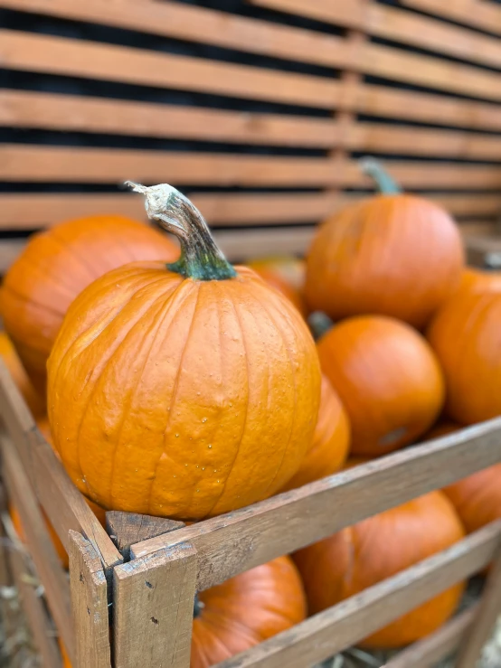 pumpkins sitting in a crate on hay