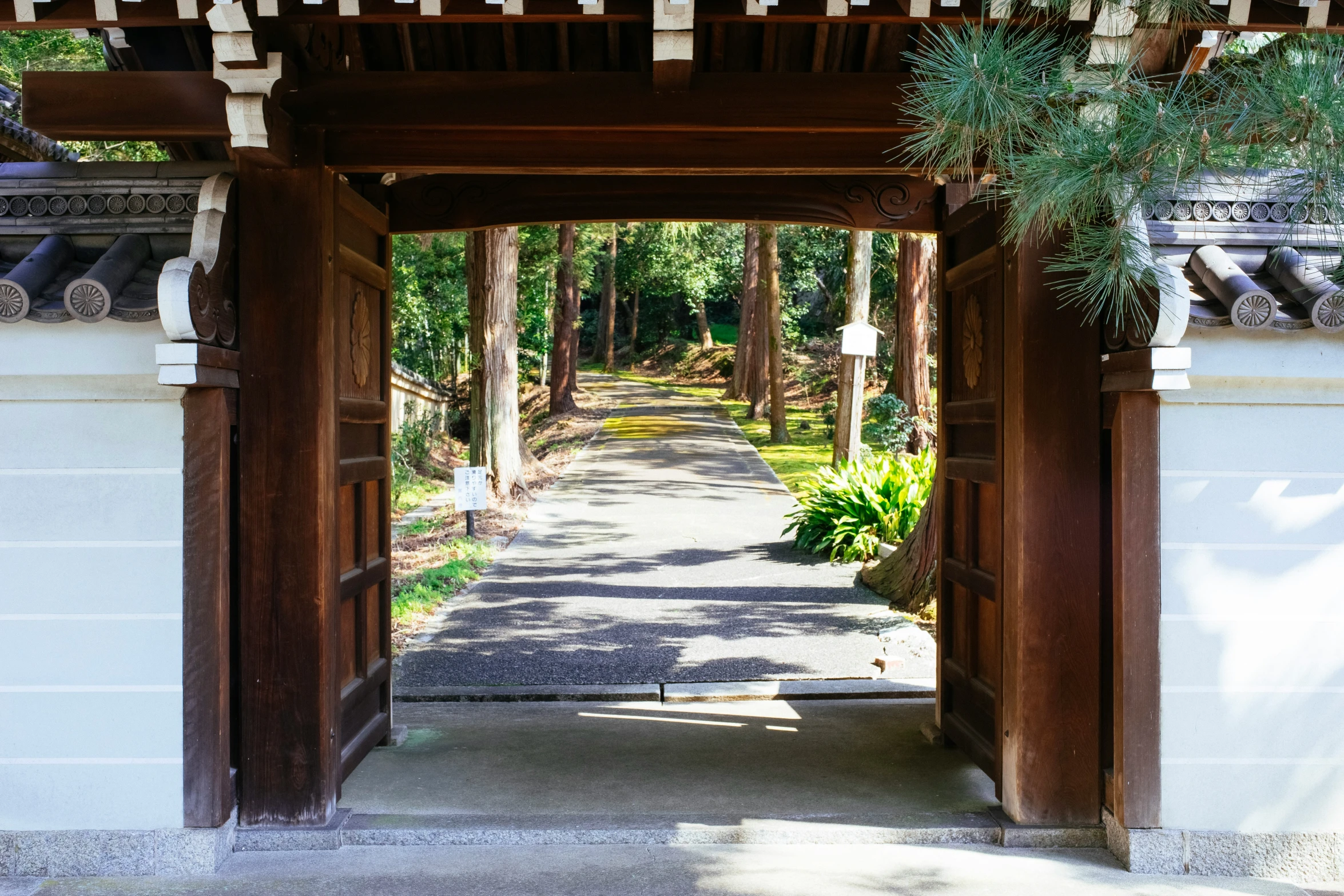 an open gate and some plants on either side