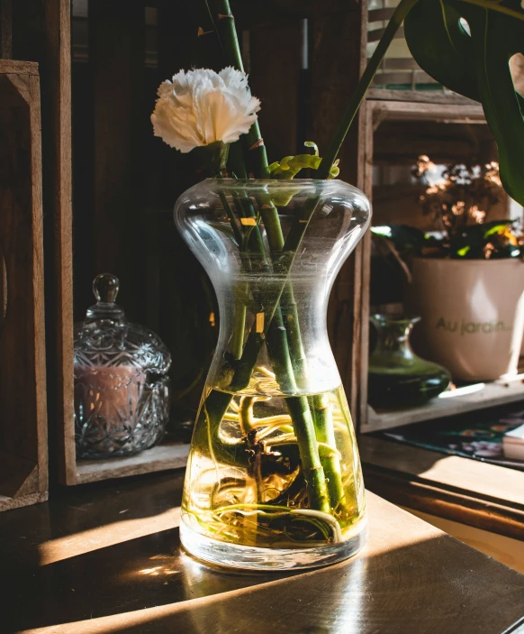 flowers in a vase on a table