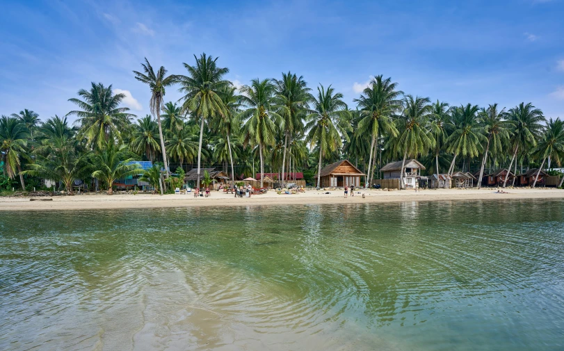 there are palm trees and buildings on the beach