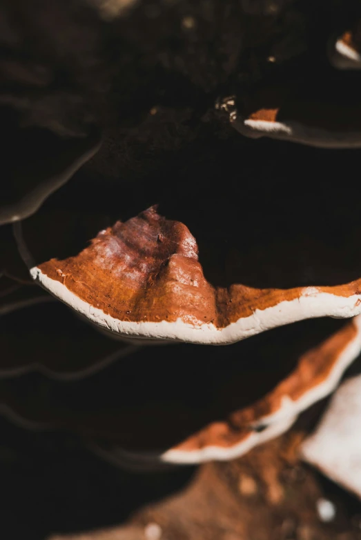 a single leaf floating in the water with water droplets on it