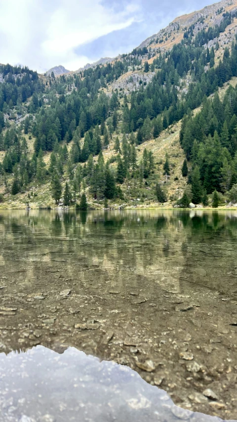 a body of water next to a forest covered hill