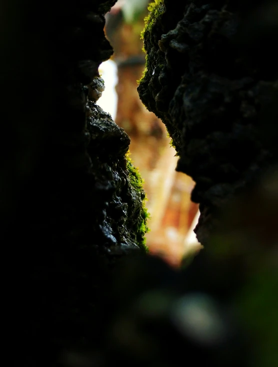 an image of looking through the s in rocks