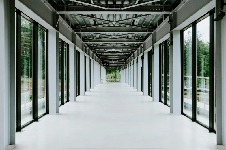 rows of large windows line the ceiling in an empty hallway