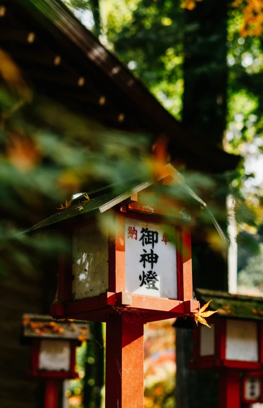 a birdhouse that says birds are beautiful and good