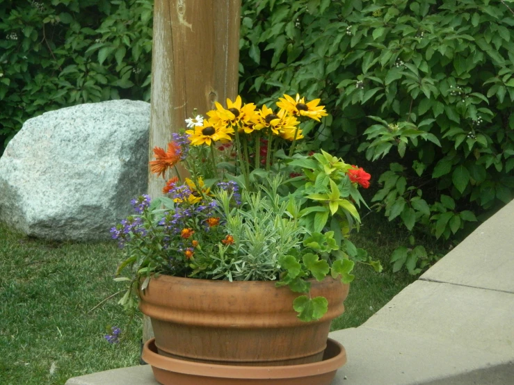 a pot that has flowers on top of it