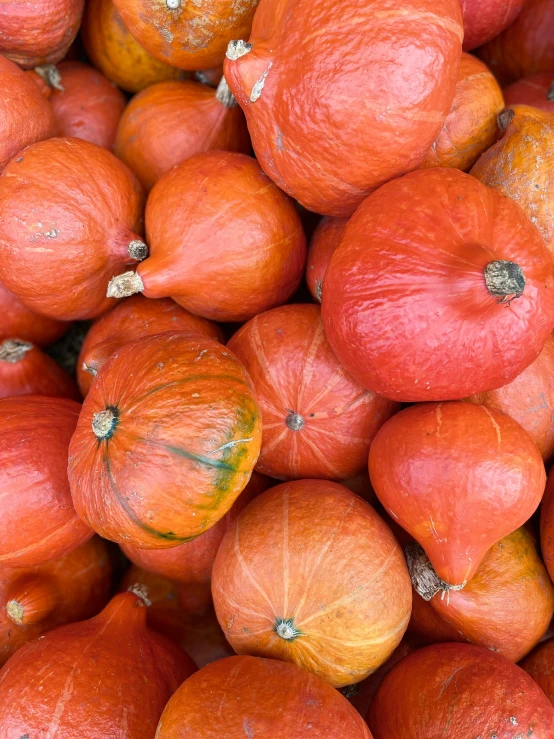 a close up po of oranges as if it were an autumn vegetable