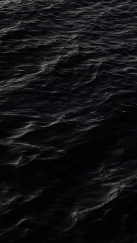 a single bird is sitting on the dark water