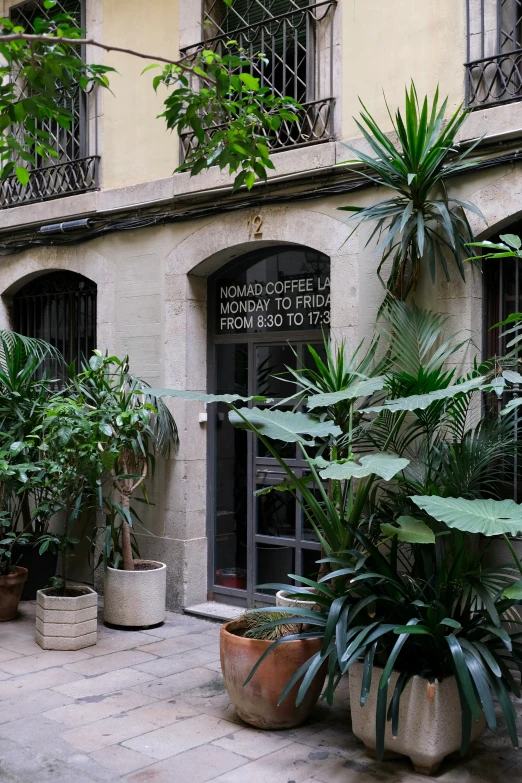 an old building with several plants growing in front of it