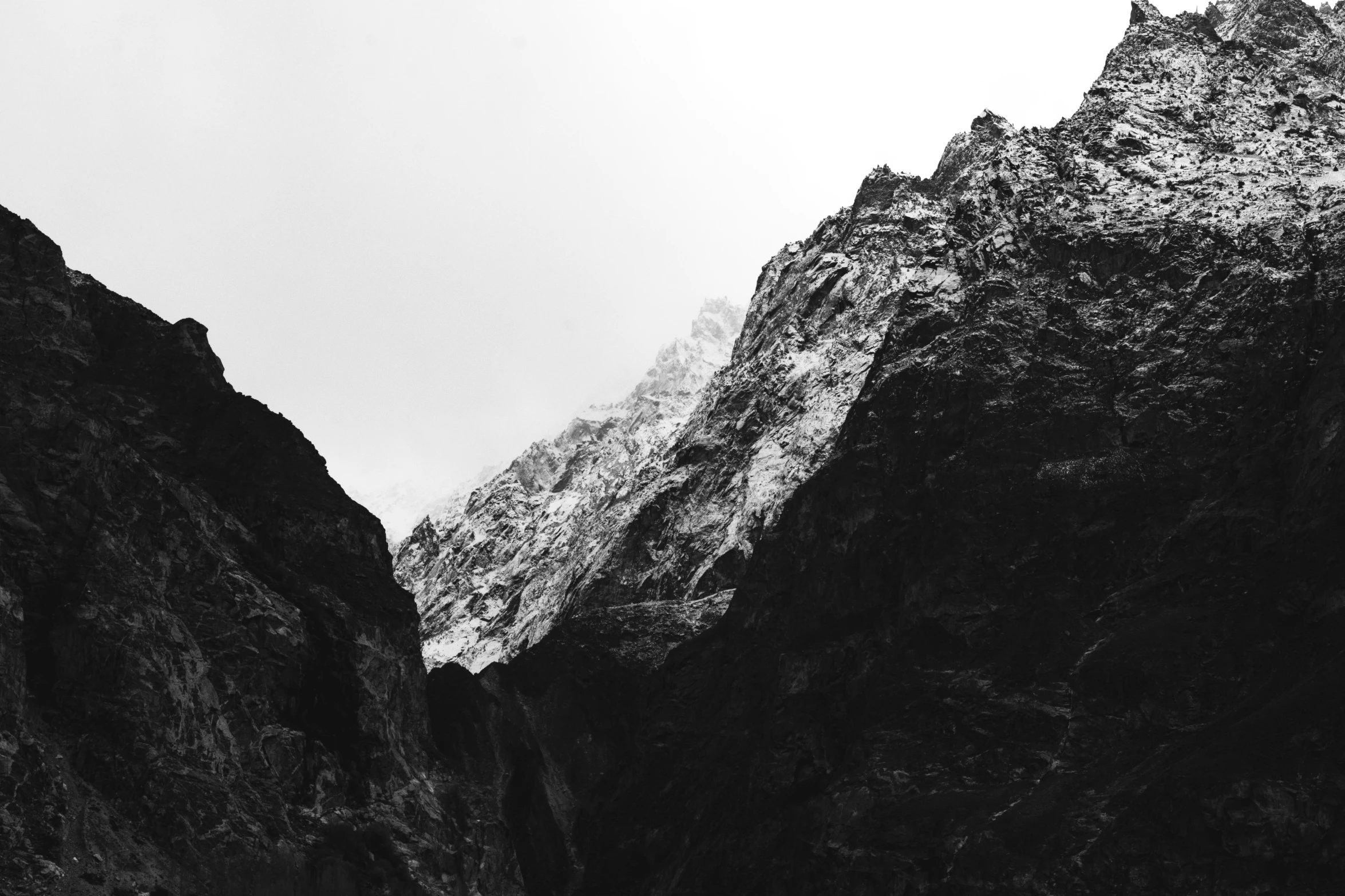 a mountain range with a bird flying near it