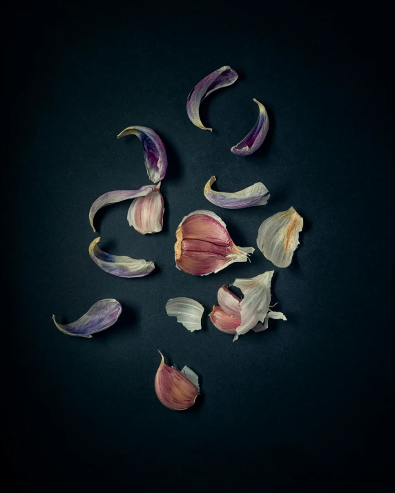 some onions on a black background with some purple one