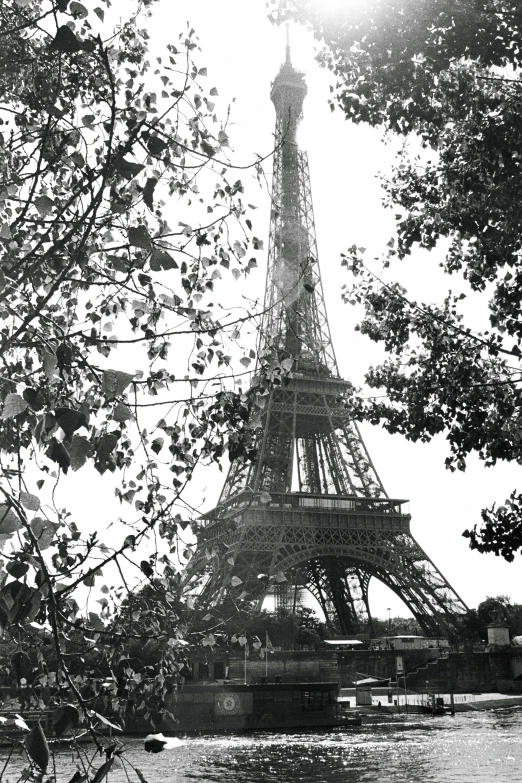 a black and white pograph of the eiffel tower with some trees surrounding it