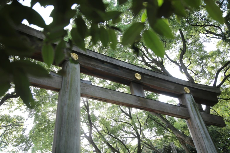 the gate to a bamboo garden with trees in the background