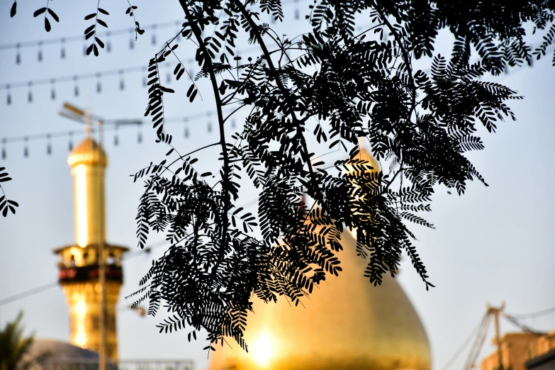 a large golden building with a dome sitting above it