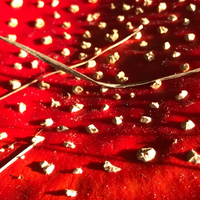 there are many pins on a sheet of red material