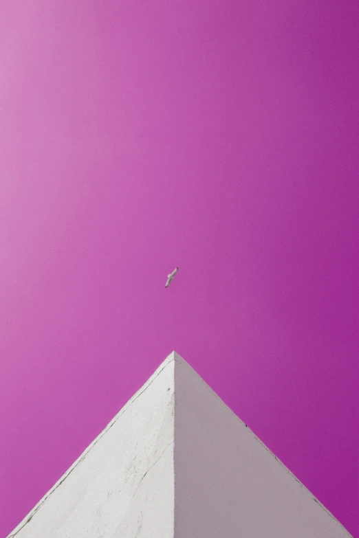 a person walking on top of a building under a purple sky